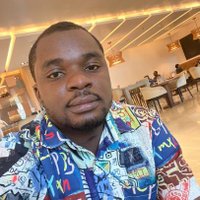 Emmanuel Ikpesu (@thedatahokage) 's Twitter Profile