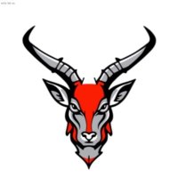 Avonworth Lady Lopes (@ladylopesbball) 's Twitter Profile Photo Avonworth Lady Lopes (@ladylopesbball) 's Twitter Profile Photo