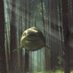 Shark flying in the underwater woods (@sharkwithwood) Twitter profile photo Shark flying in the underwater woods (@sharkwithwood) Twitter profile photo