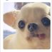 Karina (@karina132221) Twitter profile photo Karina (@karina132221) Twitter profile photo