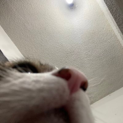 Ferjajant's profile picture. 