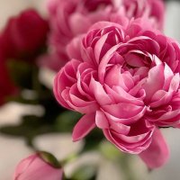 الياسمين (@ysmyn863963) Twitter profile photo