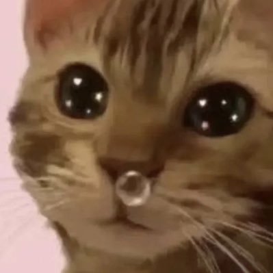 milftaxiii's profile picture. 🏳️‍🌈