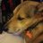 Snupy63's profile image