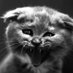 Ömer Gündar (@omrgndr) Twitter profile photo Ömer Gündar (@omrgndr) Twitter profile photo