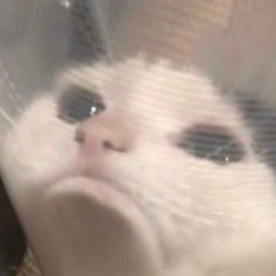 cherry_byren's profile picture. Because I’m disturbed. Ask anyone.