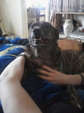 Stoney4you's profile picture. 