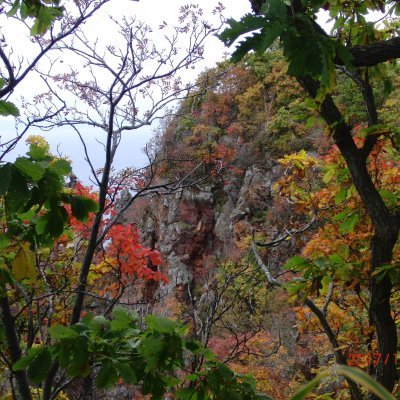 Please listen to my new song.