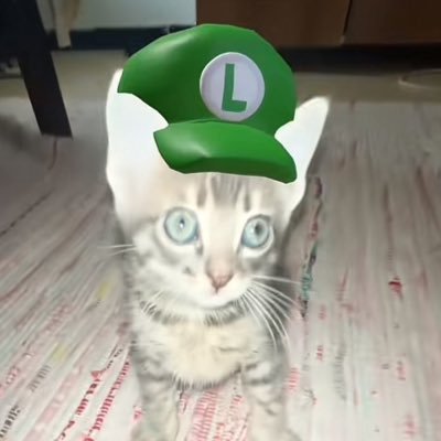 wfwさんのプロフィール画像