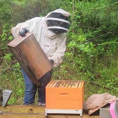 Republican, 2A, wife, mom, grand-mom, dog mom, beekeeper, nature lover, conservationist, GenX
#WomensRightsAreHumanRights
#sexnotgender
#LGB_Supporter