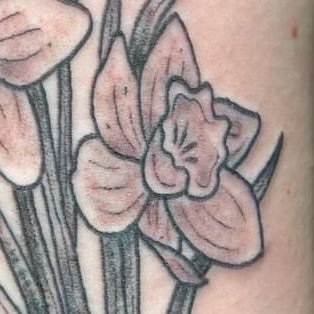 weeniorr's profile picture. 