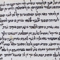 Dov Dukhovny (@dovdukhovny) 's Twitter Profile Photo