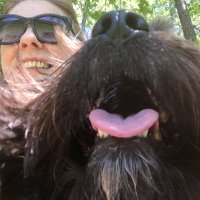 Cardoods (@cardood11) 's Twitter Profile Photo