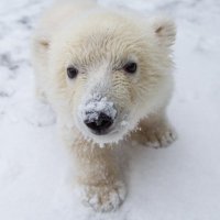 Manfred Chan (@manfred_chan7) 's Twitter Profile Photo Manfred Chan (@manfred_chan7) 's Twitter Profile Photo