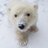 Manfred_Chan7's profile image