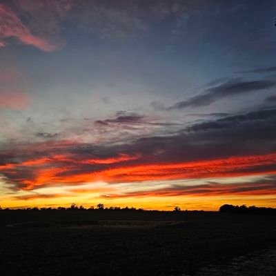 afarmertha93779's profile picture. Aussie - Ex Ringer 
◇ Cattle Stations ◇ Sheep Farming
◇ Dogs◇ Nature ◇ My photography ◇The good life !!
🐑🌾🐮
Helping farm the animals that feed us !