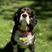 WinstonTakeABow (@joebobbilly) Twitter profile photo WinstonTakeABow (@joebobbilly) Twitter profile photo