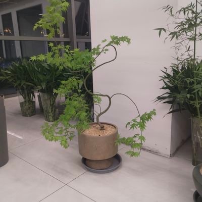 zhang1234576690's profile picture. https://t.co/G69ymstI4l