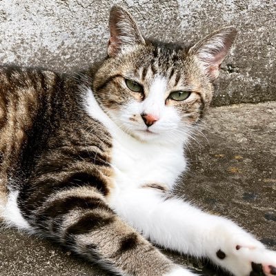 大体インスタに籠もってます