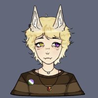 Finn/Icarus🪐⭐️ (@finnthefennec) 's Twitter Profile