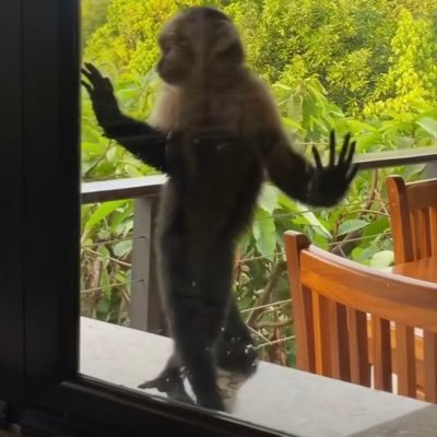 heehaw216's profile picture. #SaitamaReborn #SaitamaOnEth @SaitamaInuERC20