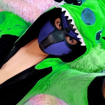 PerchesAlex's profile picture. El cachorro de CCU