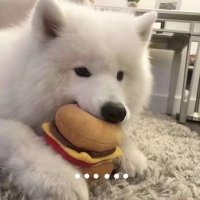 九零 (@jiulingpro) 's Twitter Profile