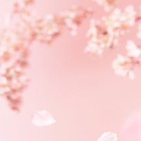 さくら (@skr__hrhm) 's Twitter Profile