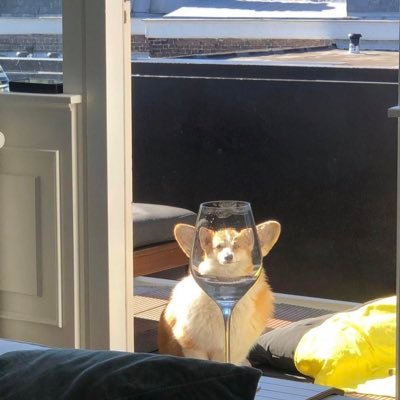 1111_3142's profile picture. 