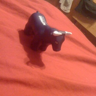 Foreverasknown's profile picture. im everything forever