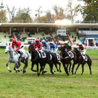 Hippodrome Compiègne (@hippocompiegne) 's Twitter Profile