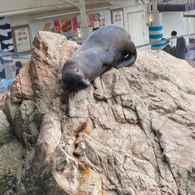 voRu8kxLPDgO8cn's profile picture. 関西