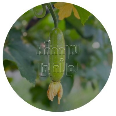 #ស្រុកស្រែ #ភូមិពពែ #ជ្រៃលាស់ស្រុកខ្ញុំ #អតីតកាល #អតីត