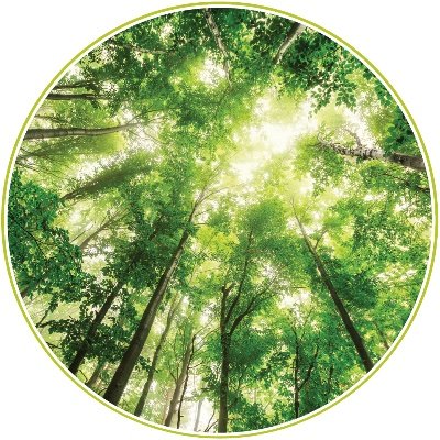 eerjournal's profile picture. pooling news | views | ideas | inspirations from the wider world ~ for those involved with Environmental Education Research [tweet/retweet/follow≠endorsement]
