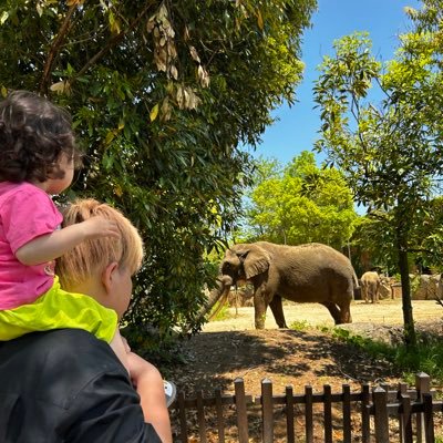 19960808tom's profile picture. 