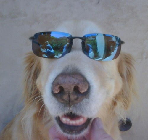 smborowski's profile picture. 