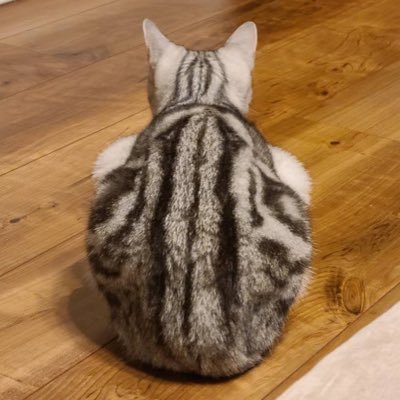 U232323's profile picture. 元ひこうせん 元きたのおけ部