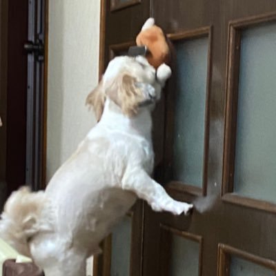 斉藤さんのプロフィール画像