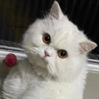 แหม (@2nanahh) 's Twitter Profile