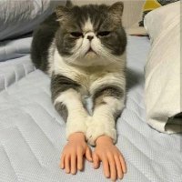 humor wakanda (@humorwakanda) 's Twitter Profile Photo humor wakanda (@humorwakanda) 's Twitter Profile Photo