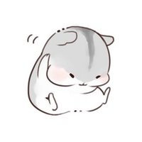 GenshinPlayer (@huangzi0721) 's Twitter Profile