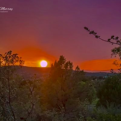 LCMphototog's profile picture. Freelance Photographer/Artist