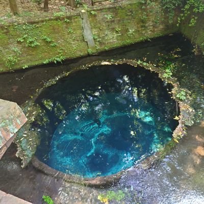 kamp_fer's profile picture. 焼き鳥大好き！鶏の天敵です。