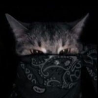 โงโ
๐น๐ฉ๐๐พ๐๐ถ๐๐ โ
โง (@2ksrv) 's Twitter Profile