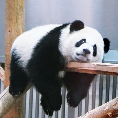 yuikun_2000's profile picture. エンジニア→コンサル→スタートアップに魂を燃やす|日々何を出来るのか模索中