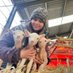 Dr Holly Vickery (@skylarkholly) Twitter profile photo Dr Holly Vickery (@skylarkholly) Twitter profile photo