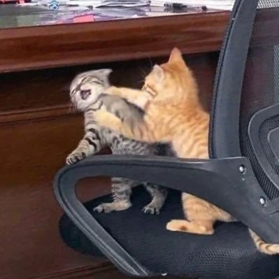 SionSqv's profile picture. 🎮rainbow3