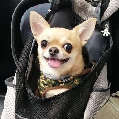 Domingo Lópezさんのプロフィール画像