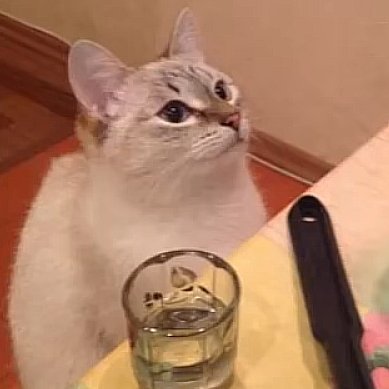 when we go out to bed its just no good its such a shame
