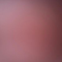 xxxxx (@erknkaann) Twitter profile photo